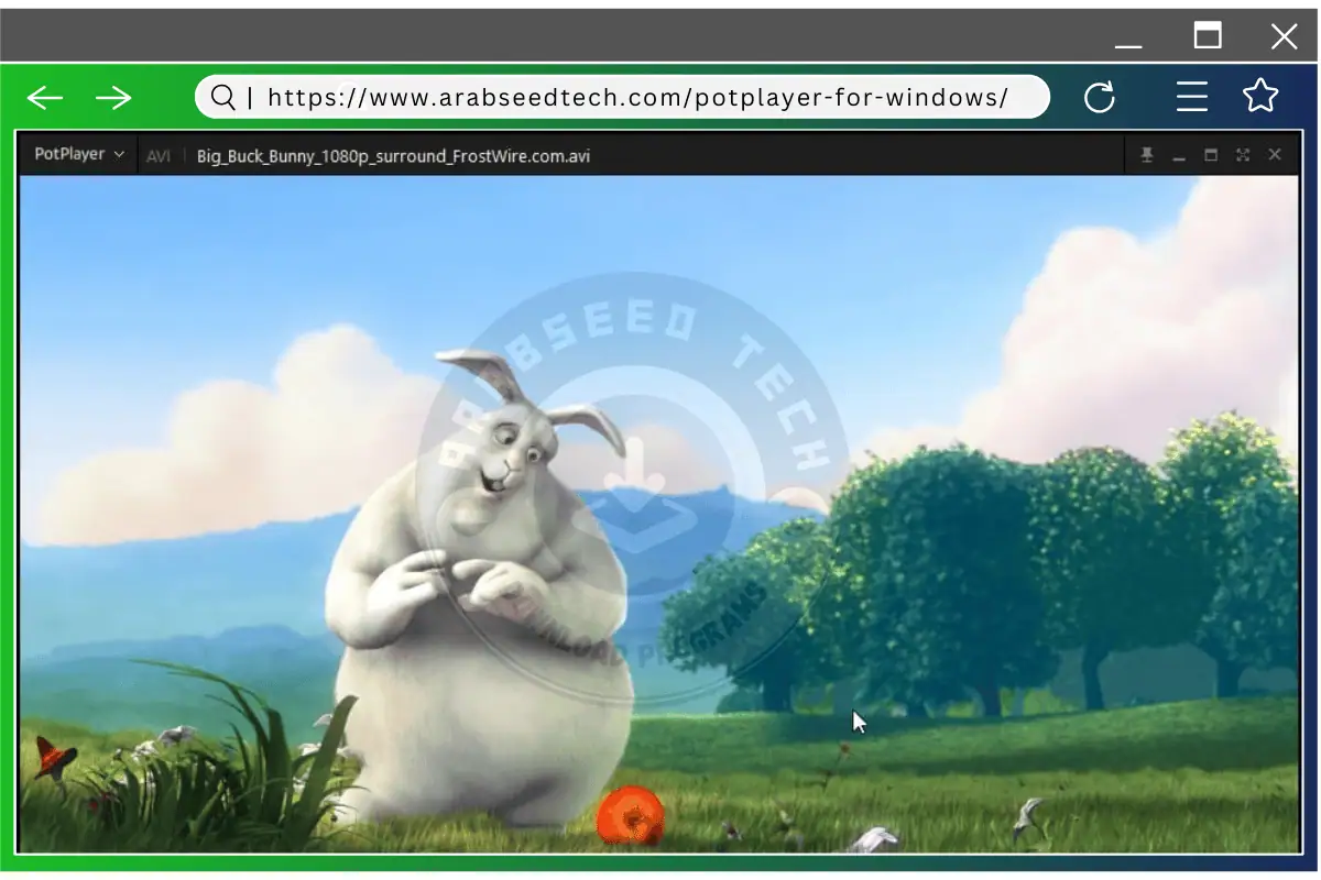 PotPlayer for PC
